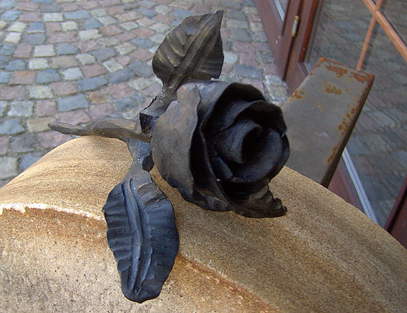 Schwarze Rose